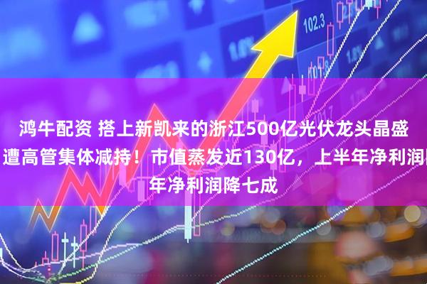 鸿牛配资 搭上新凯来的浙江500亿光伏龙头晶盛机电，遭高管集体减持！市值蒸发近130亿，上半年净利润降七成